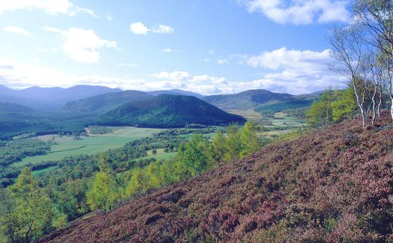 Royal Deeside card link