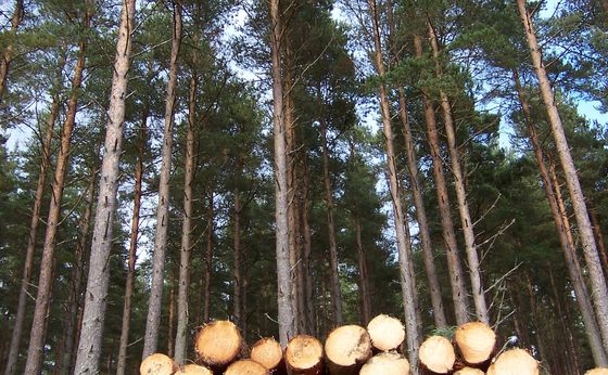 Working Estate card link