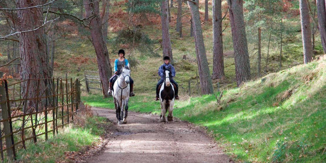 Horseback Riding At Glen Tanar