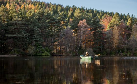 Trout Fishing card link